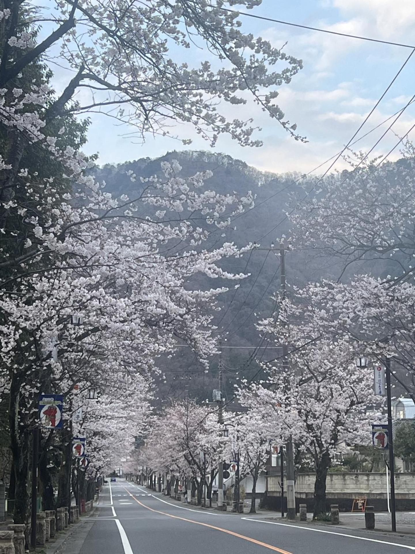 Hotel Kinugawa Keisui Nikko Exterior foto